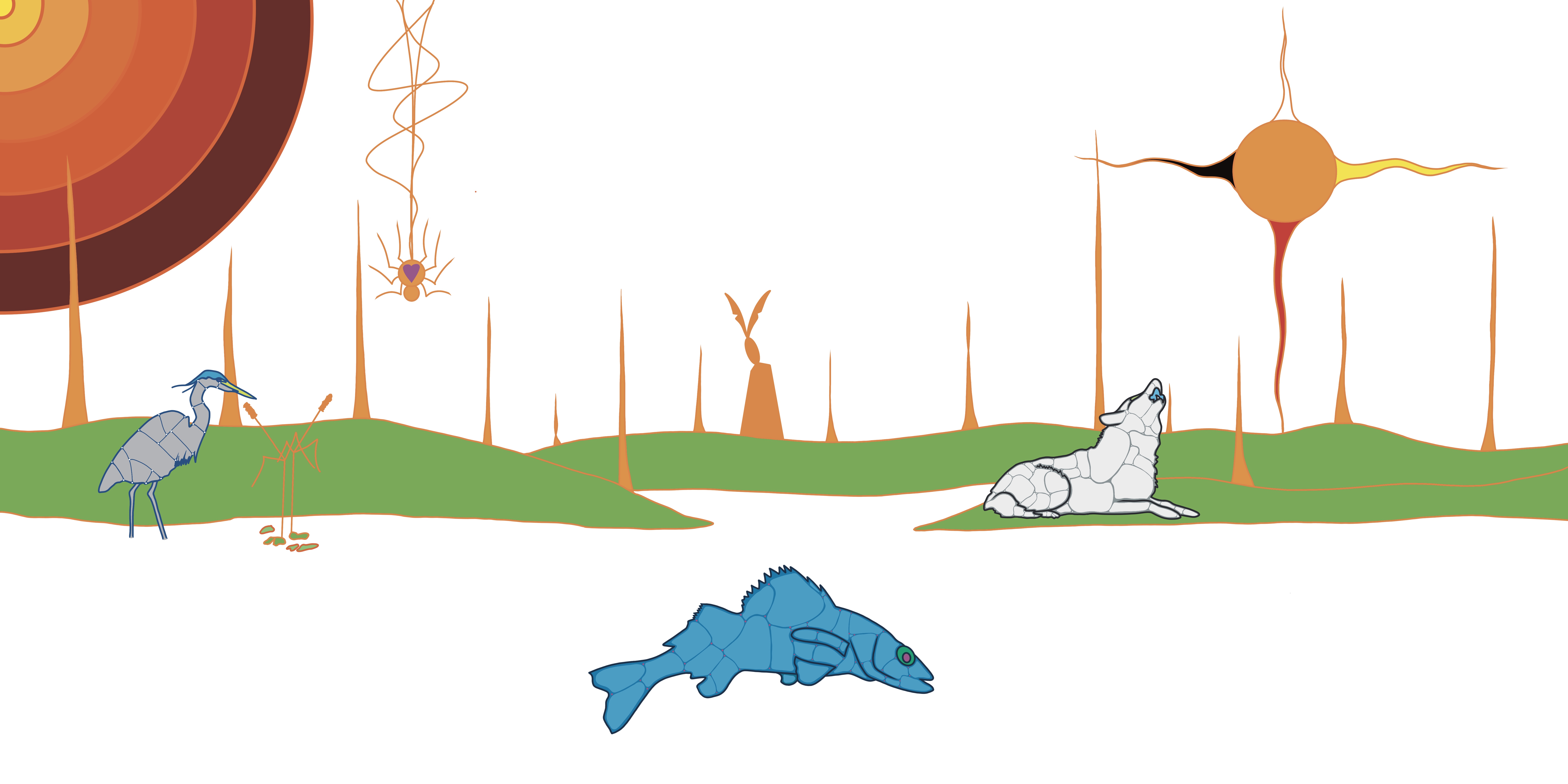 œuvre d’art Autochtone originale par Que Rock