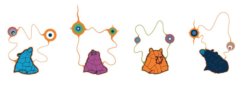 four images of the Bear to represent the four directions of the Medicine Wheel by artist Que Rock