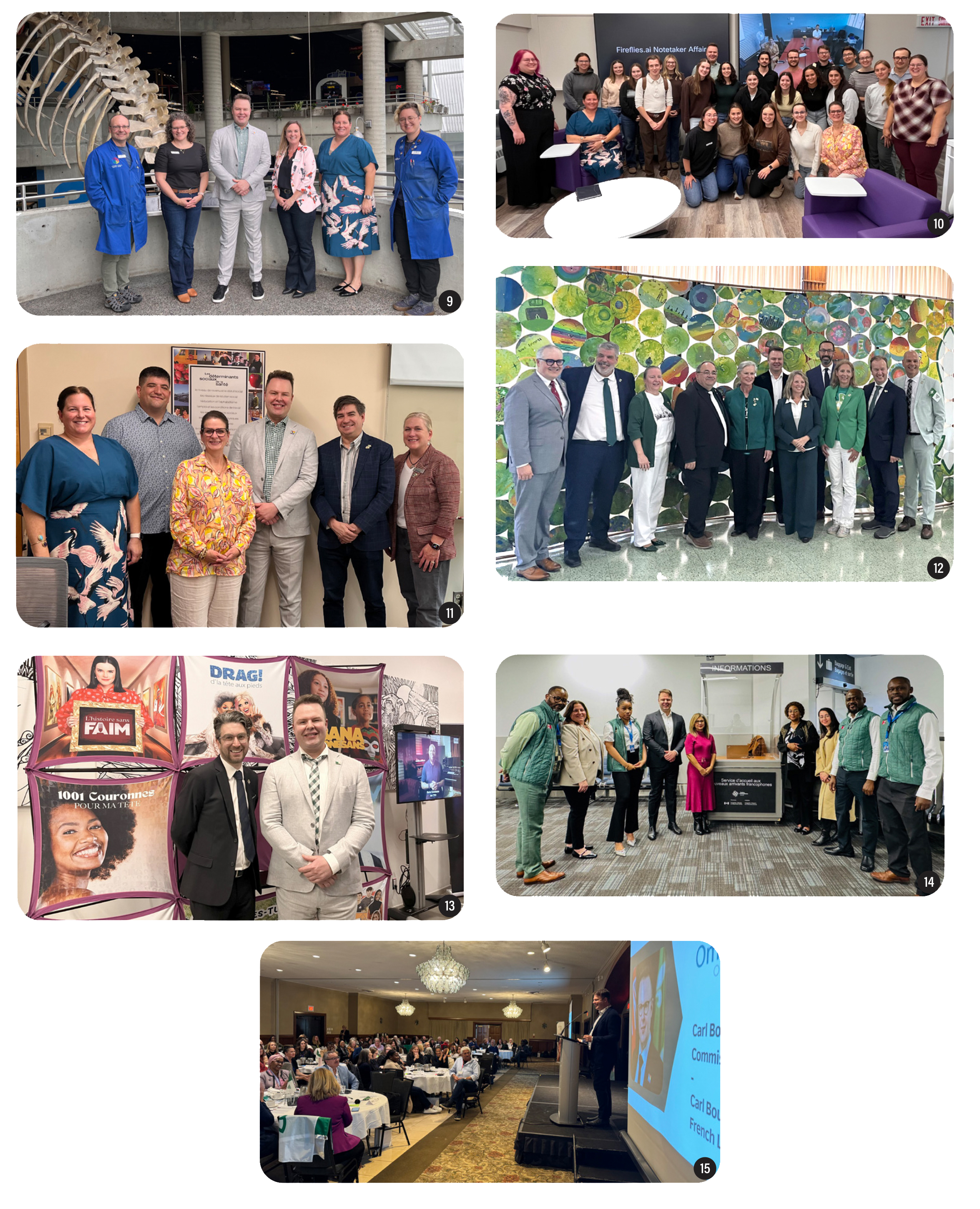 Collection de photos2