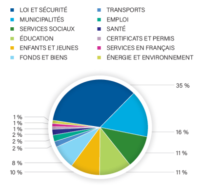 graphique circulaire des cas par sujets