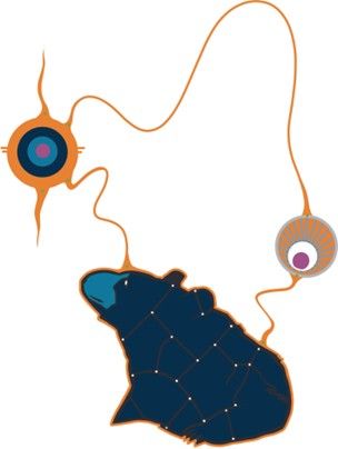 œuvre d’art Autochtone originale par Que Rock