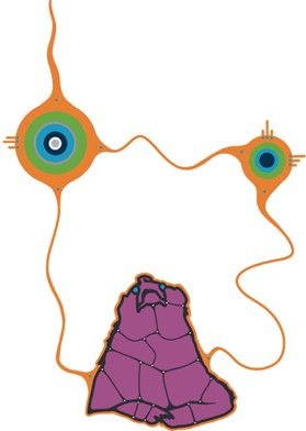 œuvre d’art Autochtone originale par Que Rock