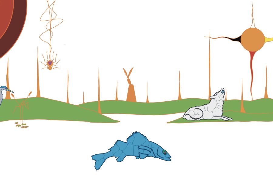 œuvre d’art Autochtone originale par Que Rock